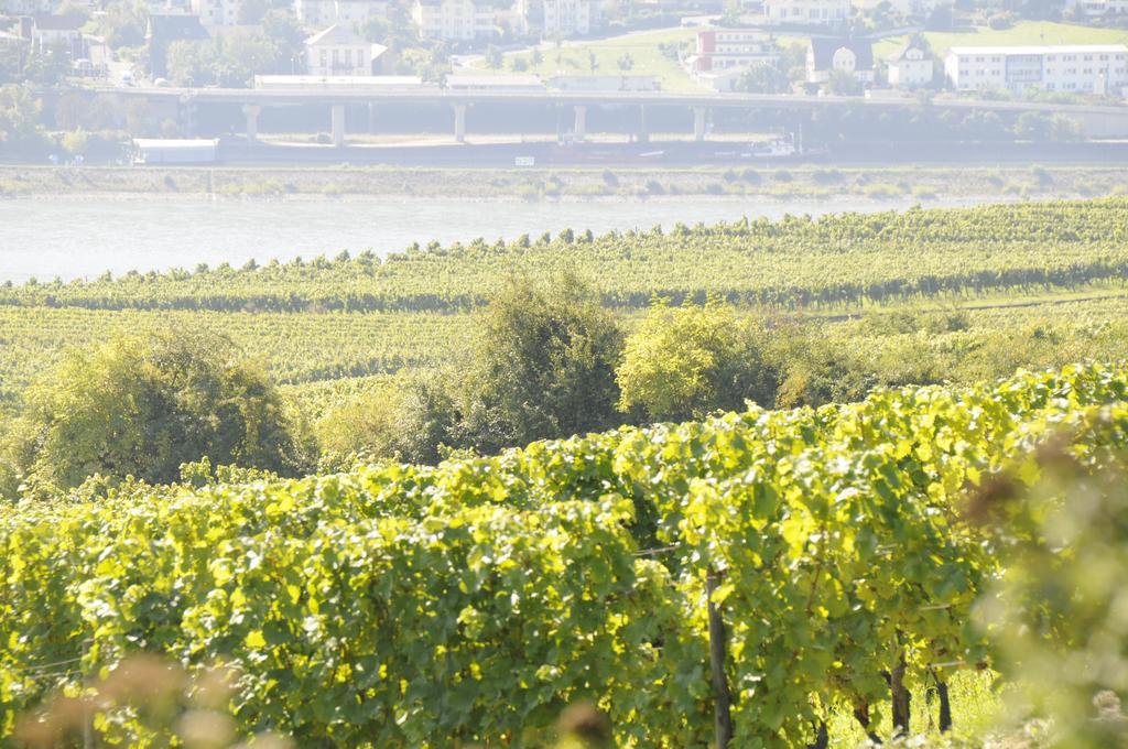 Landgasthof Germania Rudesheim am Rhein Bagian luar foto