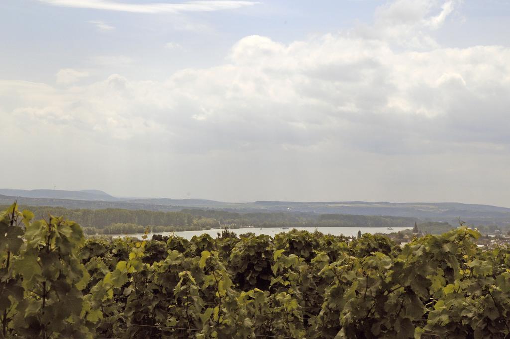 Landgasthof Germania Rudesheim am Rhein Bagian luar foto
