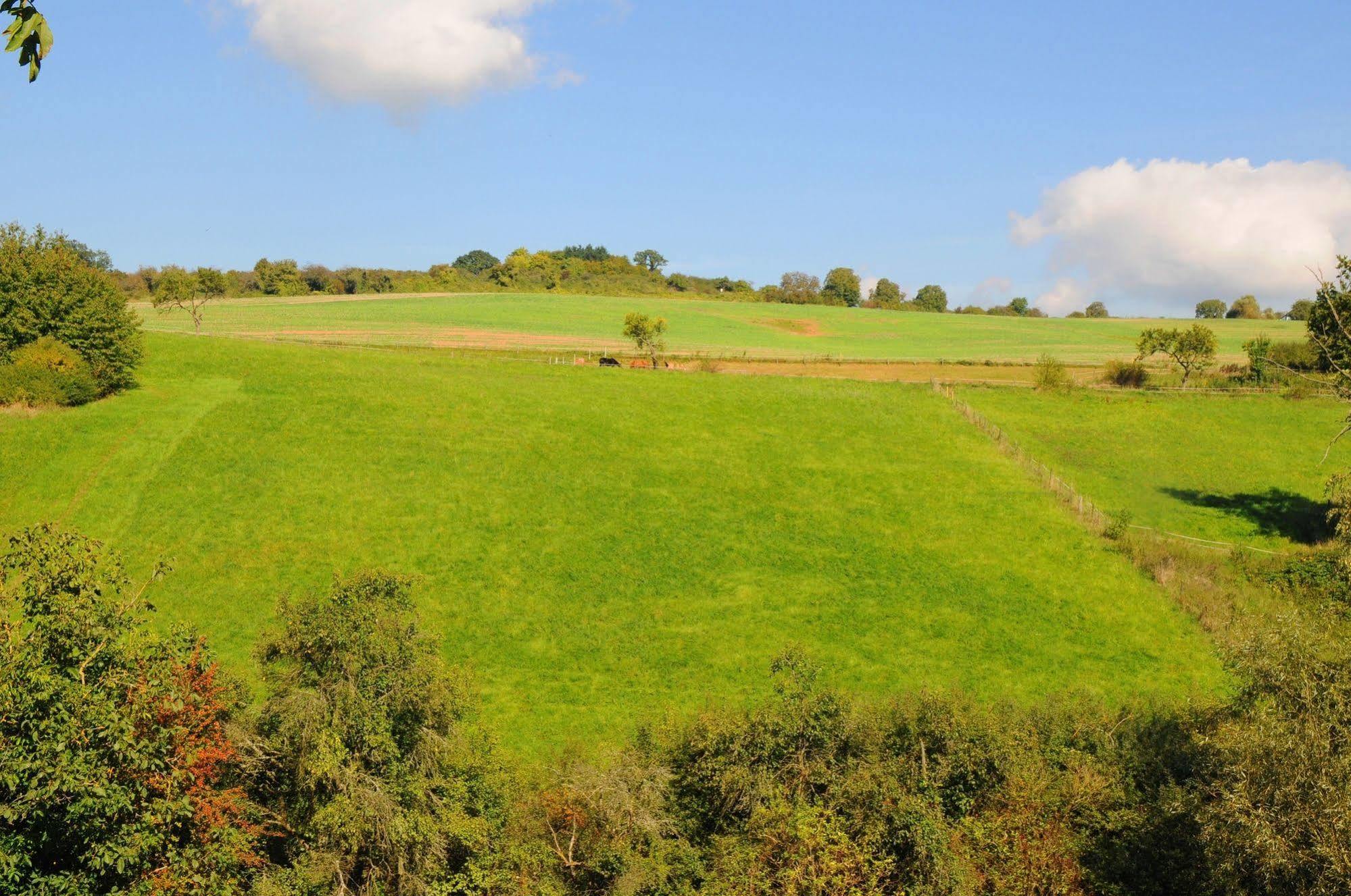 Landgasthof Germania Rudesheim am Rhein Bagian luar foto
